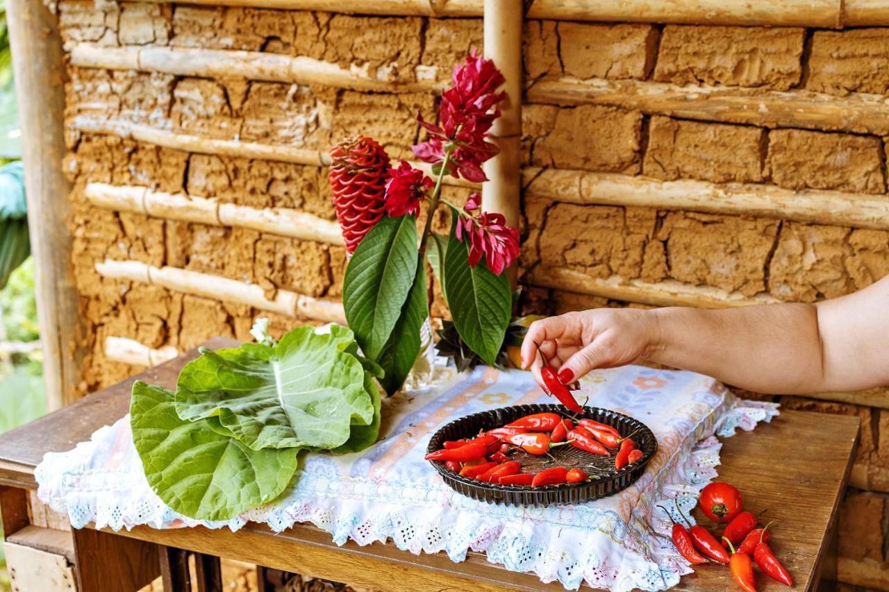 Chales Sol 파라티 외부 사진